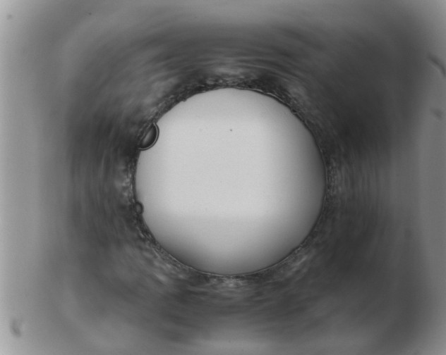 X0000103311109200809122045