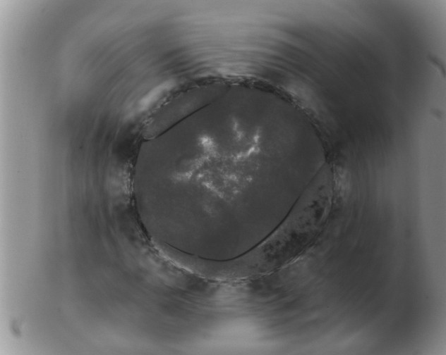 X0000103311110200809122045