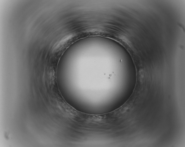 X0000103311111200809122045