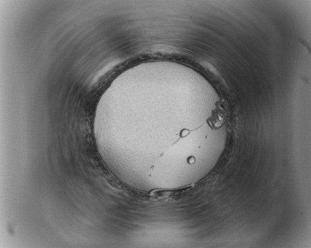 X0000103311112200809122045