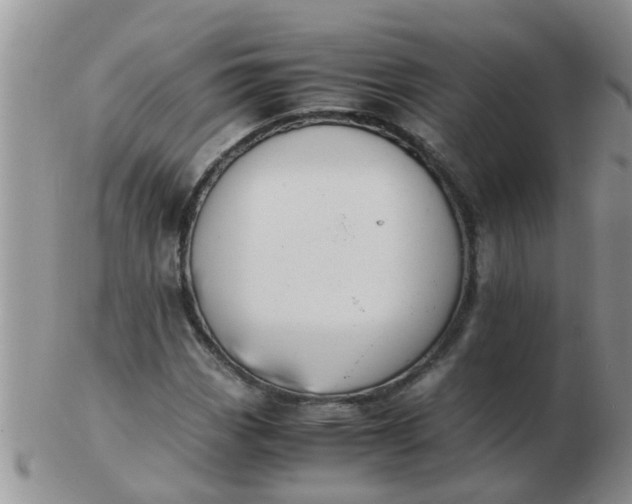 X0000103311113200809122045