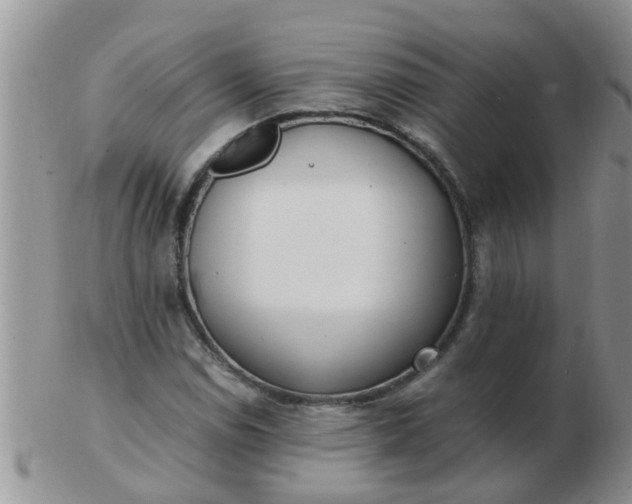 X0000103311114200809122045