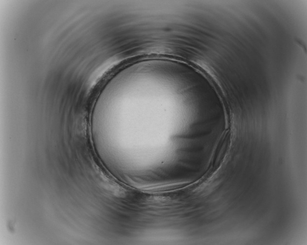 X0000103311115200809122045