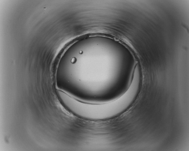 X0000103311116200809122045
