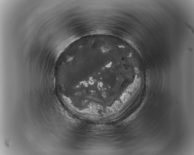 X0000103311117200809122045
