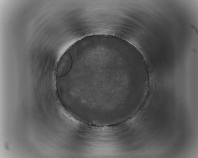 X0000103311120200809122045