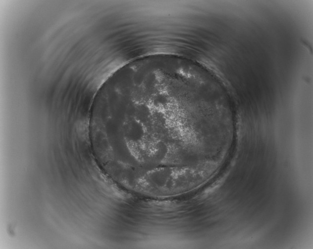 X0000103311121200809122045