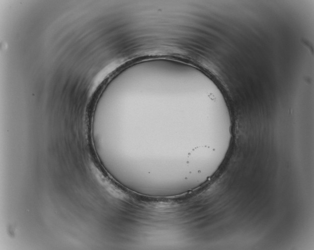 X0000103311122200809122045
