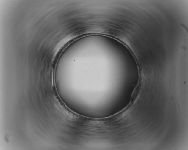 X0000103311123200809122045