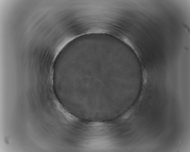 X0000103311124200809122045