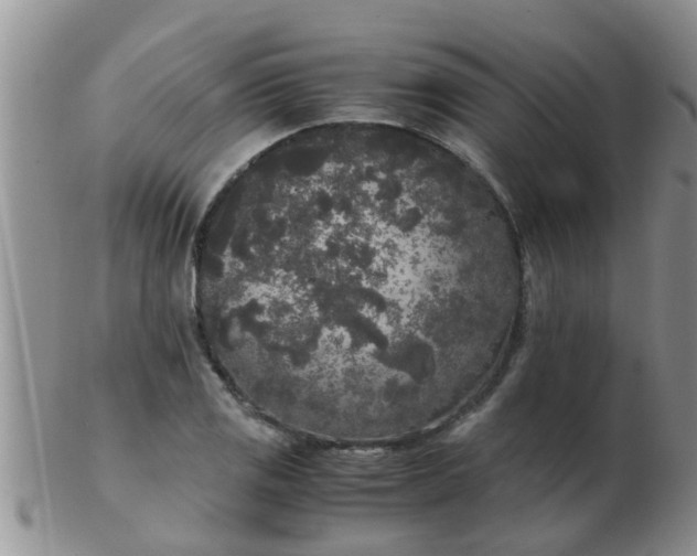 X0000103311125200809122045
