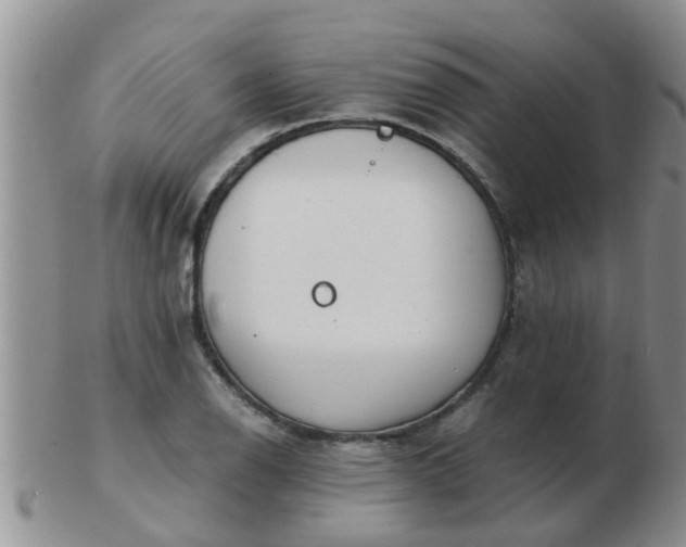 X0000103311126200809122045