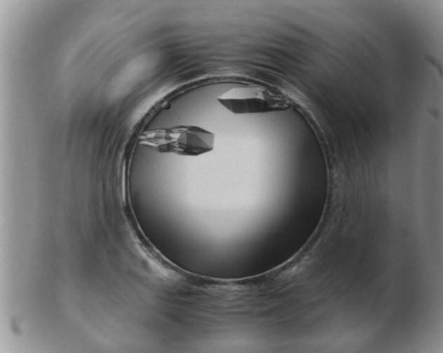X0000103311127200809122046