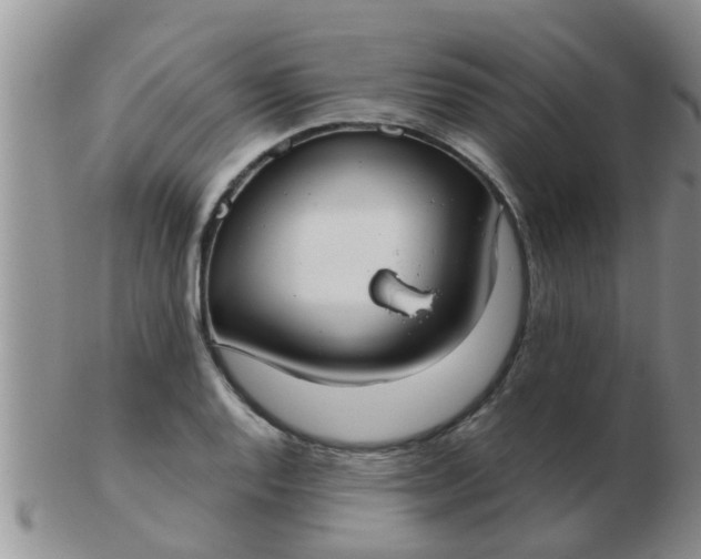 X0000103311128200809122046