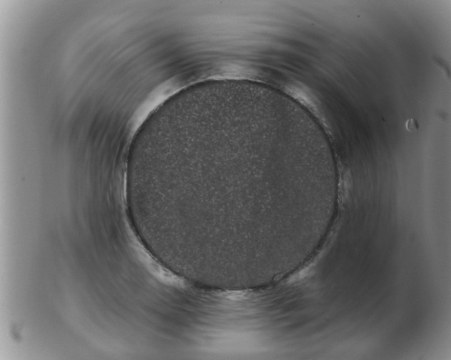 X0000103311130200809122046