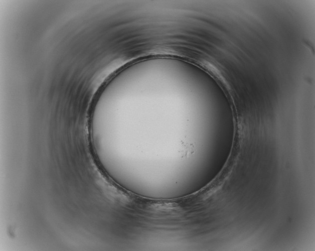 X0000103311133200809122046
