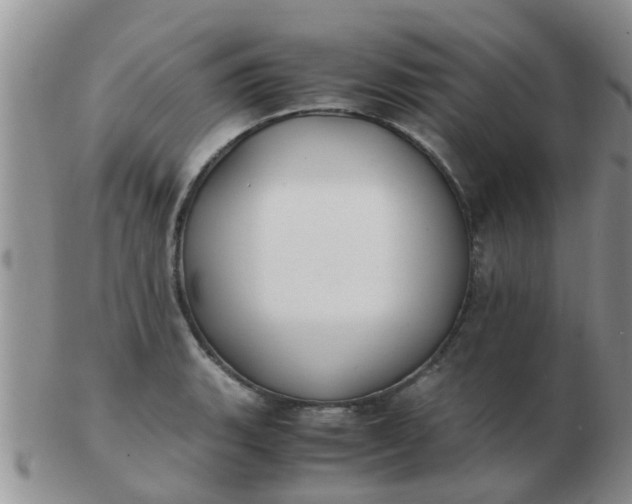 X0000103311135200809122046