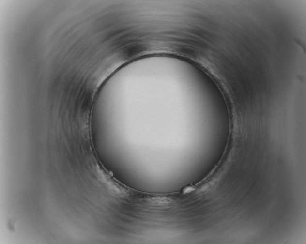 X0000103311137200809122046