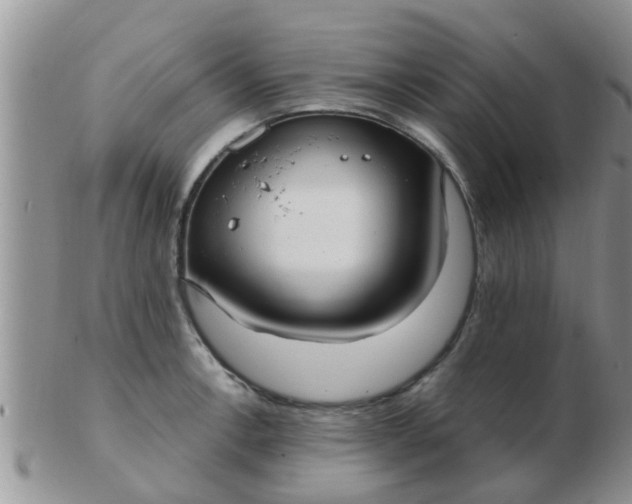 X0000103311138200809122046