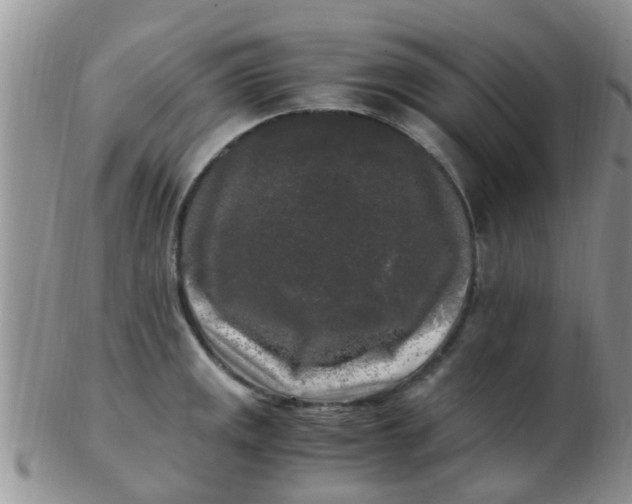 X0000103311141200809122046
