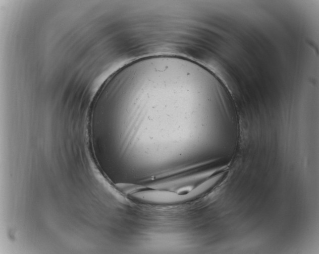 X0000103311142200809122046