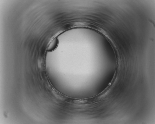 X0000103311145200809122046
