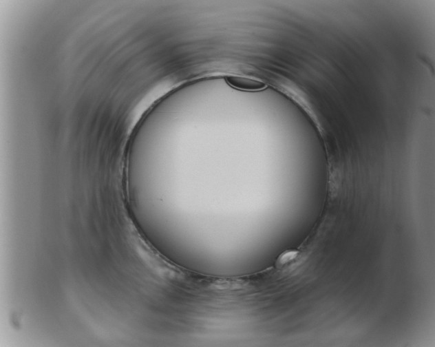 X0000103311146200809122046