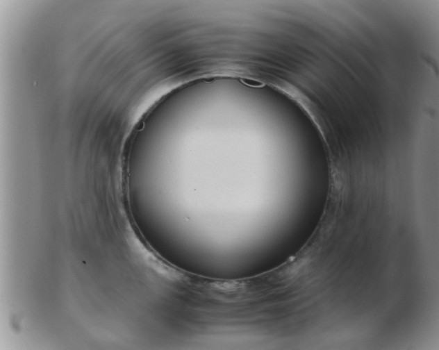 X0000103311147200809122046