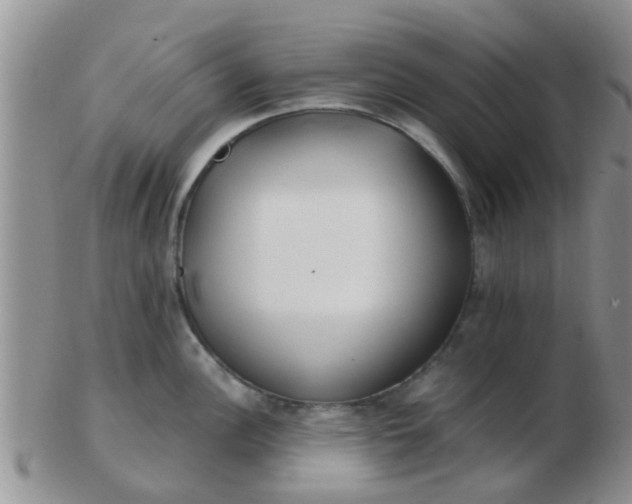X0000103311148200809122046