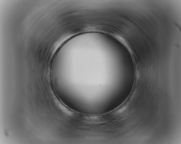 X0000103311149200809122046