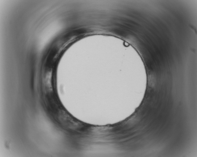 X0000103311150200809122046