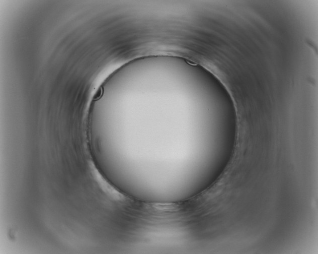X0000103311152200809122046