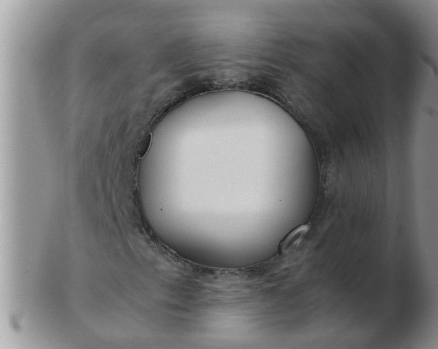 X0000103311153200809122045