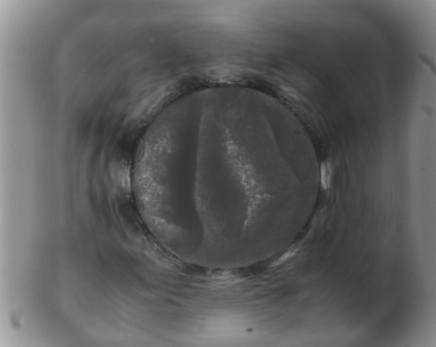 X0000103311155200809122045