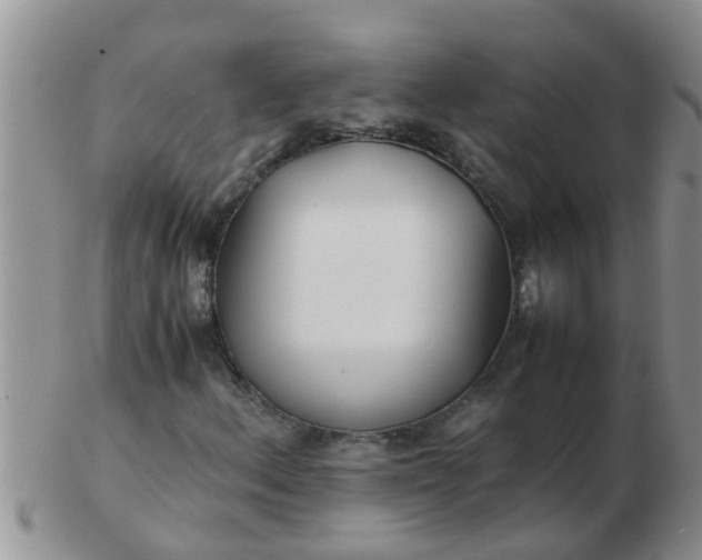 X0000103311156200809122045
