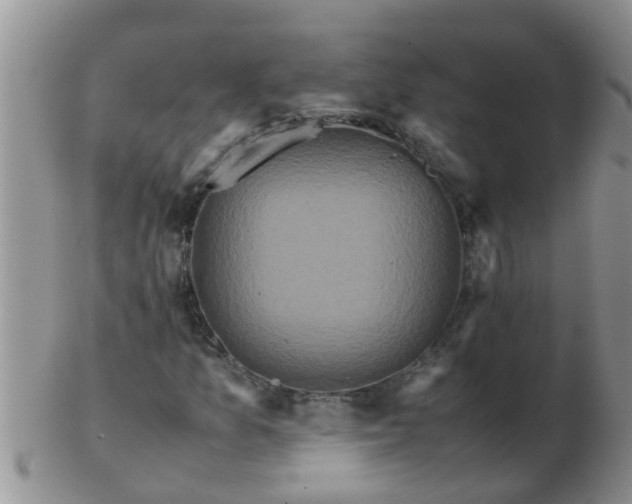 X0000103311157200809122045