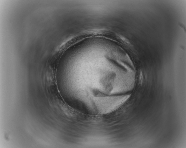 X0000103311158200809122045