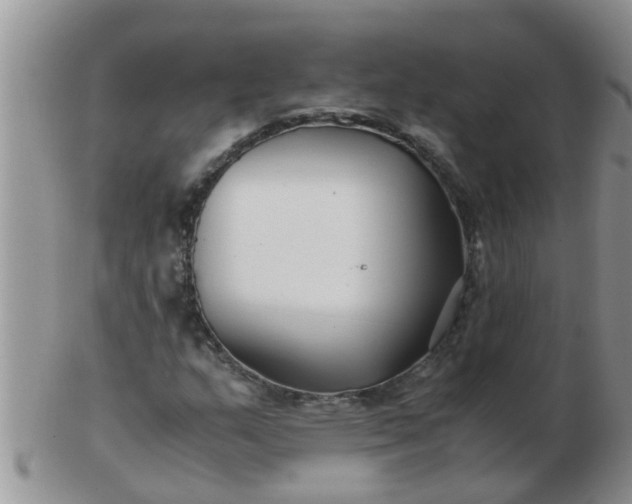 X0000103311159200809122045