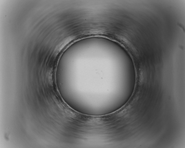 X0000103311162200809122045
