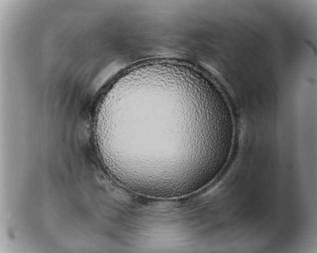 X0000103311163200809122045