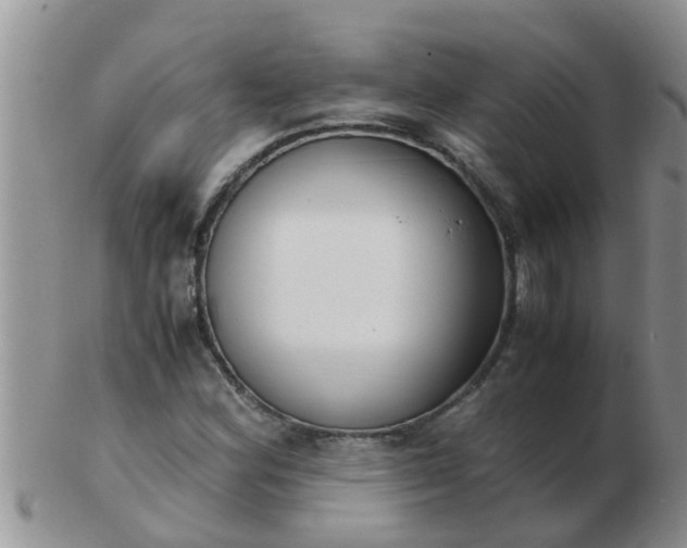 X0000103311164200809122045