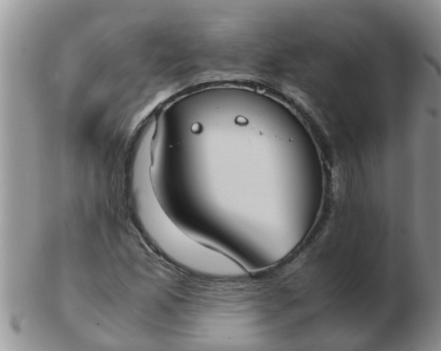 X0000103311165200809122045