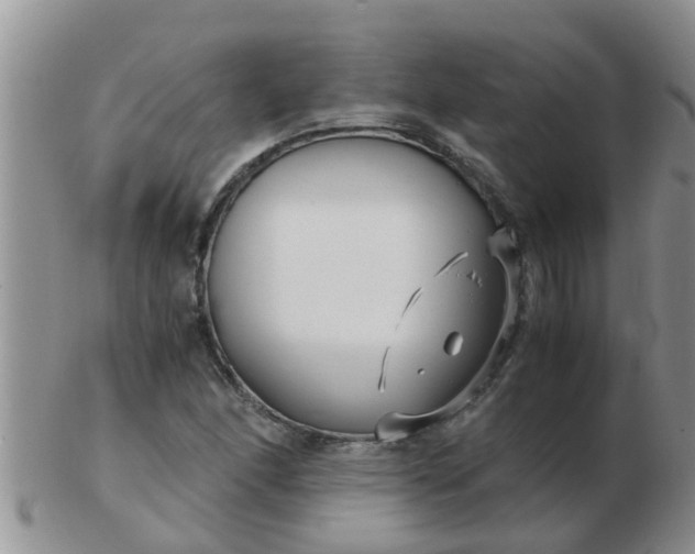 X0000103311166200809122045