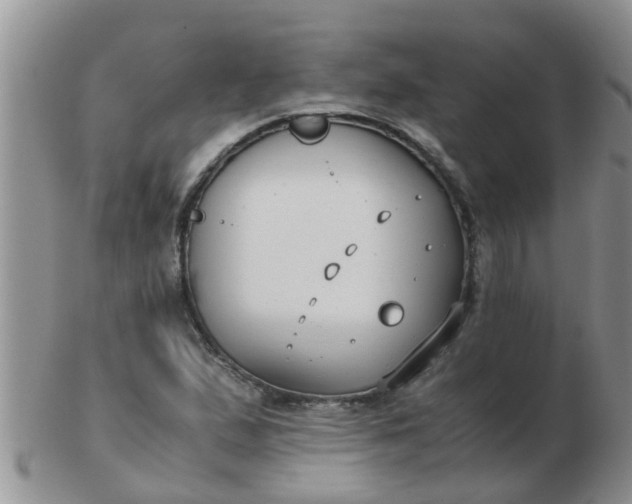 X0000103311167200809122045