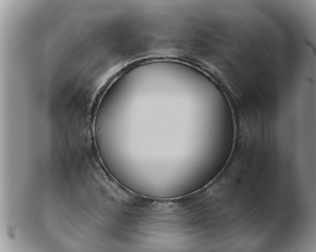 X0000103311168200809122045