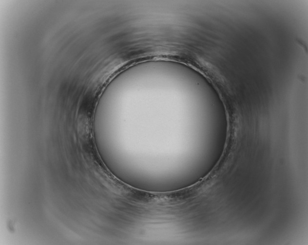 X0000103311169200809122045