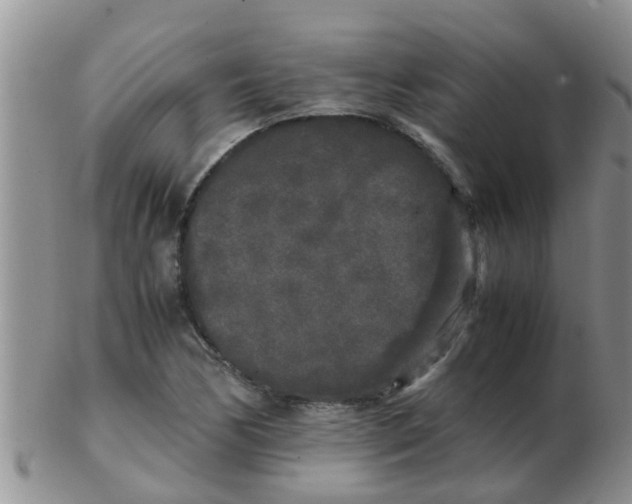 X0000103311170200809122045