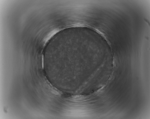 X0000103311171200809122045