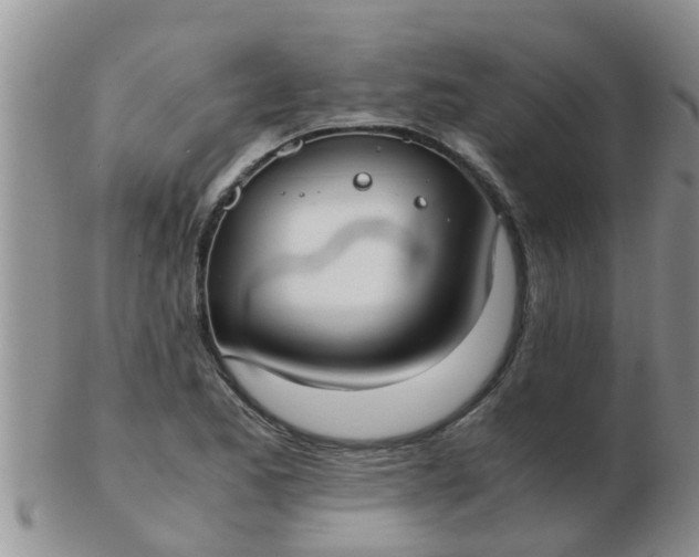 X0000103311173200809122045
