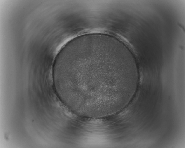 X0000103311174200809122045